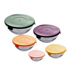 Jogo 5 Mini Travessas Vidro Sodo-calcico Sortidas